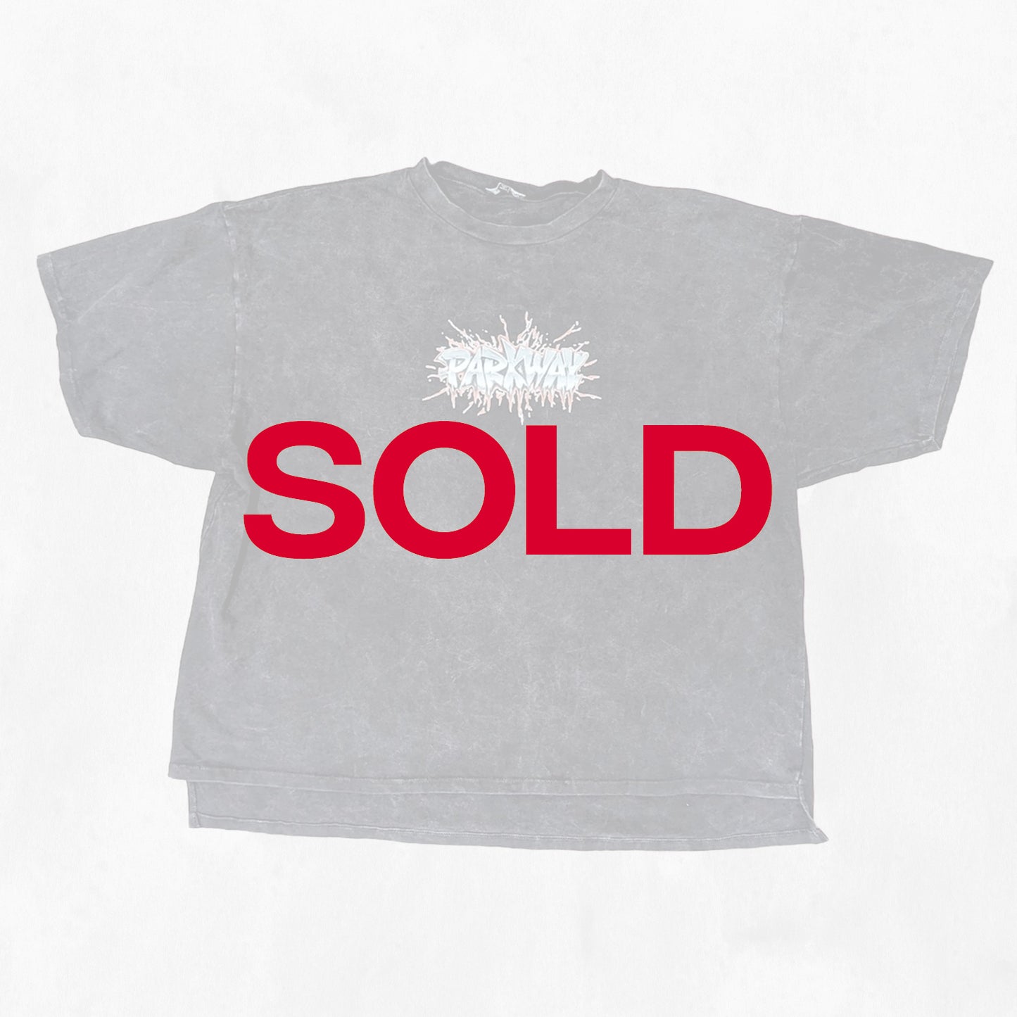 Garment Dyed Vintage Parkway Tee (L)