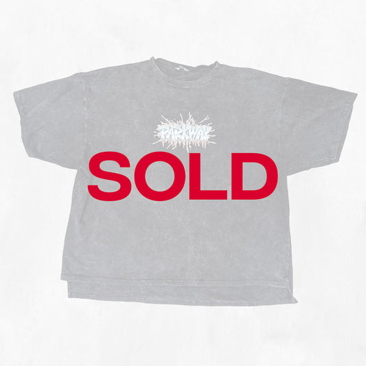 Garment Dyed Vintage Parkway Tee (L)